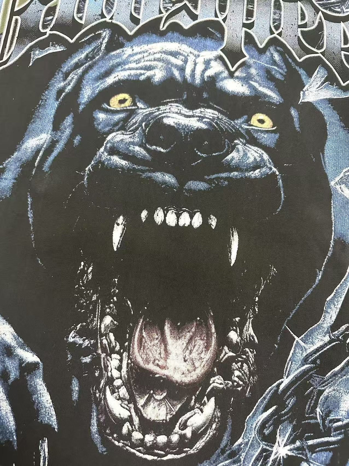 Godspeed Panther & Puck Your Society Graphic T-Shirt