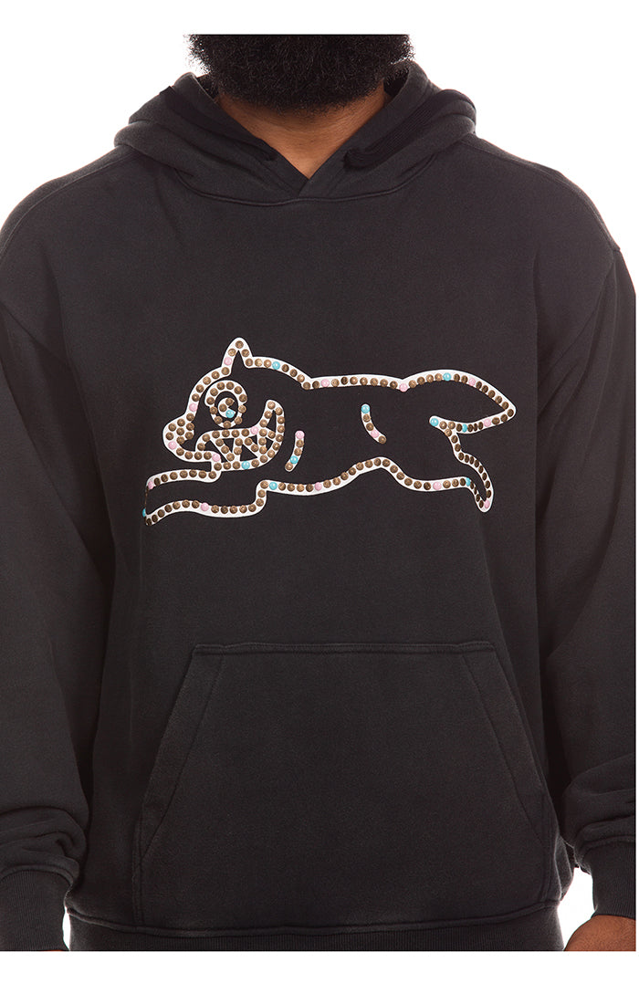 Icecream Park Hoodie